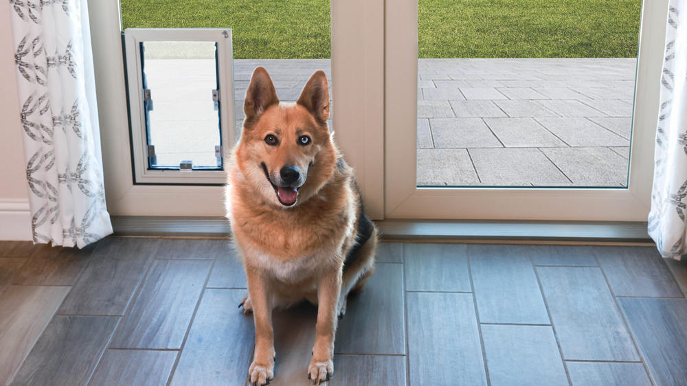 Sliding Doors with Pet Doors